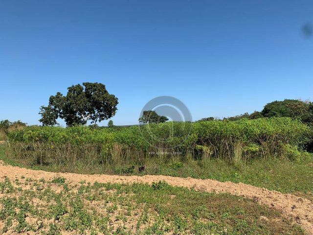 Sítio 23 há ( região capão das antas, sentido jangada) - Foto 18
