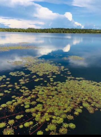 Chácara lago do manso com 3 dormitórios à venda, 150000 m² por r$ 400.000 - zona rural - c - Foto 4