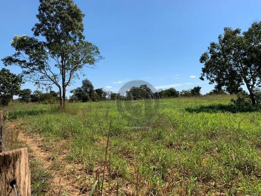 Sítio 23 há ( região capão das antas, sentido jangada) - Foto 13