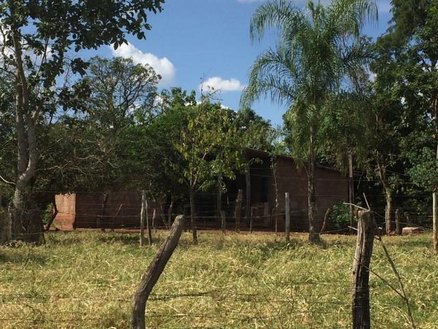 Linda fazenda com casa Sede - Foto 15