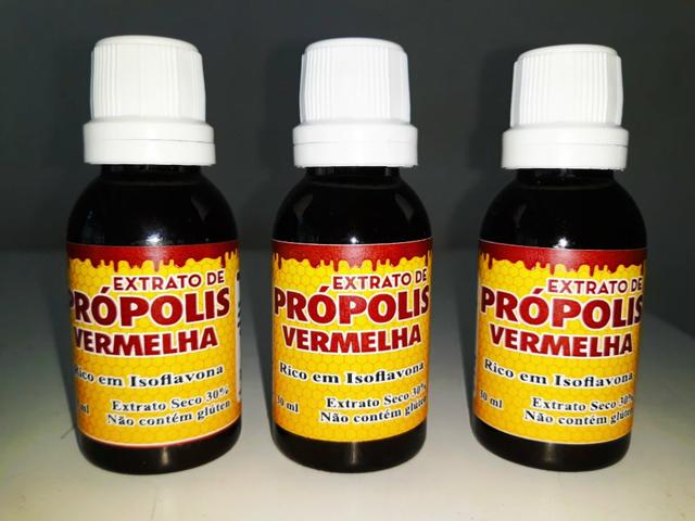 Propolis, Mel e pólen apícola.
