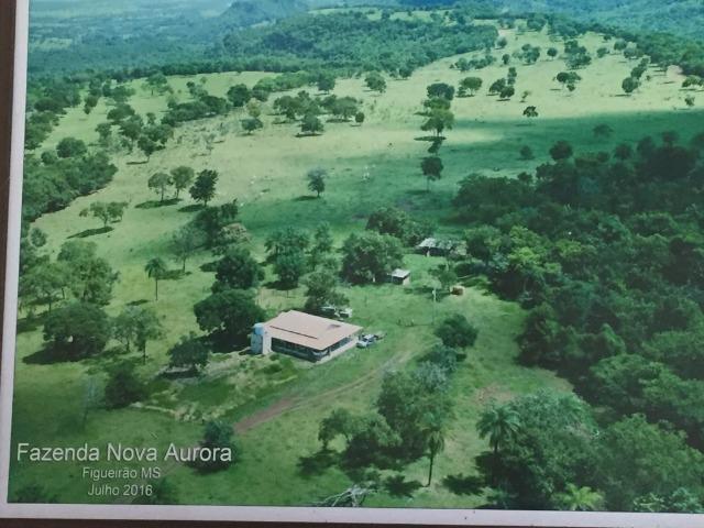 Linda fazenda com casa Sede - Foto 2