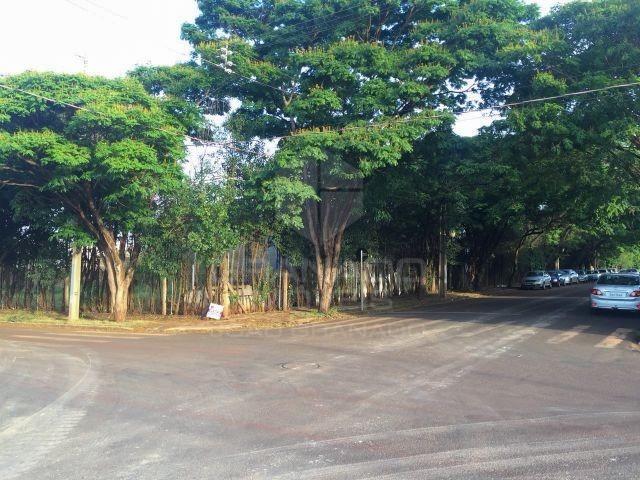 9606 | Barracão em Sarandi | 3000m² - Foto 7