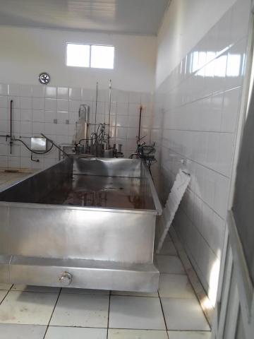 Sitio22ha com laticínio - Foto 6