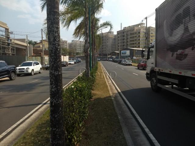 Terreno para alugar com 0 dormitórios em Swiss park, Campinas cod:TE015882 - Foto 3