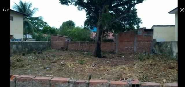Terreno em Maracaipe- Perto do mar e todo legalizado!! oportunidade!! - Foto 3