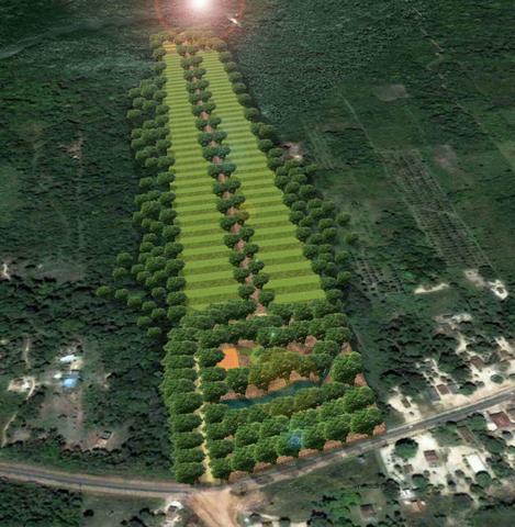 Terrenos 10x50m com acesso a rio e igarapé - Foto 5