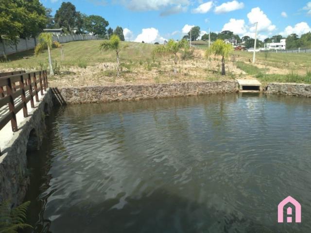 Terreno à venda em Nossa senhora da saúde, Caxias do sul cod:2161 - Foto 13