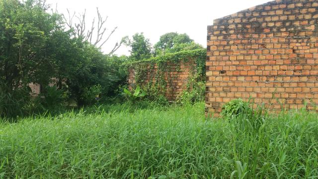 Terreno - Foto 3