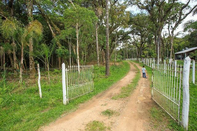 Chácara 0,5 ha, próximo á montadora da Audi 30min/Curitiba só R$85mil - Foto 2