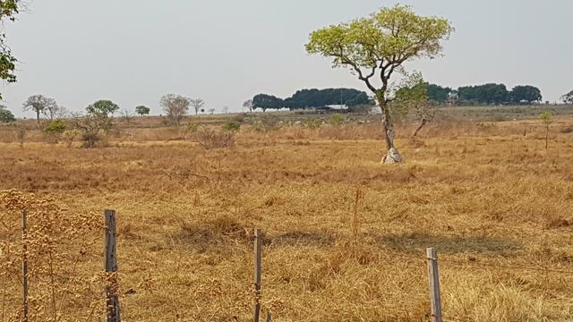 Area Rural - Foto 5