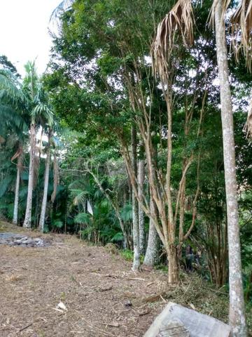 Terreno com 8 alqueires=19 hectares - Foto 18