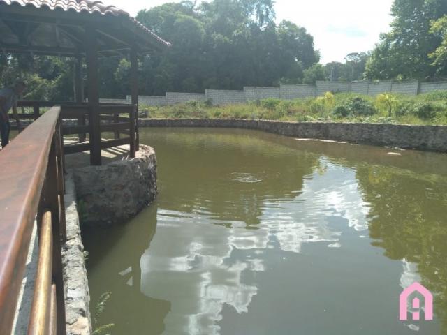 Terreno à venda em Nossa senhora da saúde, Caxias do sul cod:2161 - Foto 12