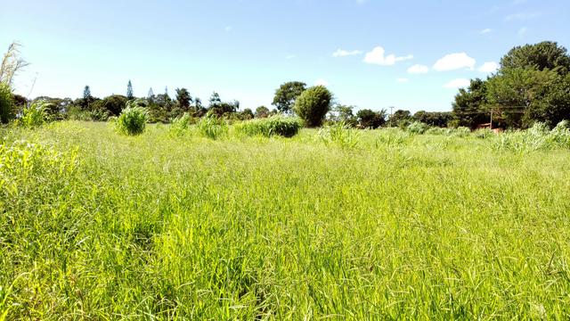 Chácara 20.000m2 incra 9 3km de chão casa simples pomar pode escriturar