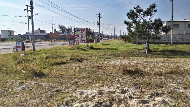 Terreno na praia Oásis Sul - Comercial/residencial (Barbada)