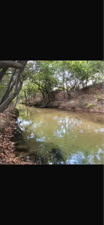 foto - Boa Vista - Estados