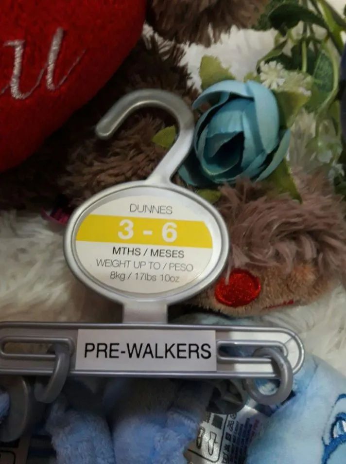 Blue Teddy Bear Shoes64304563716609123