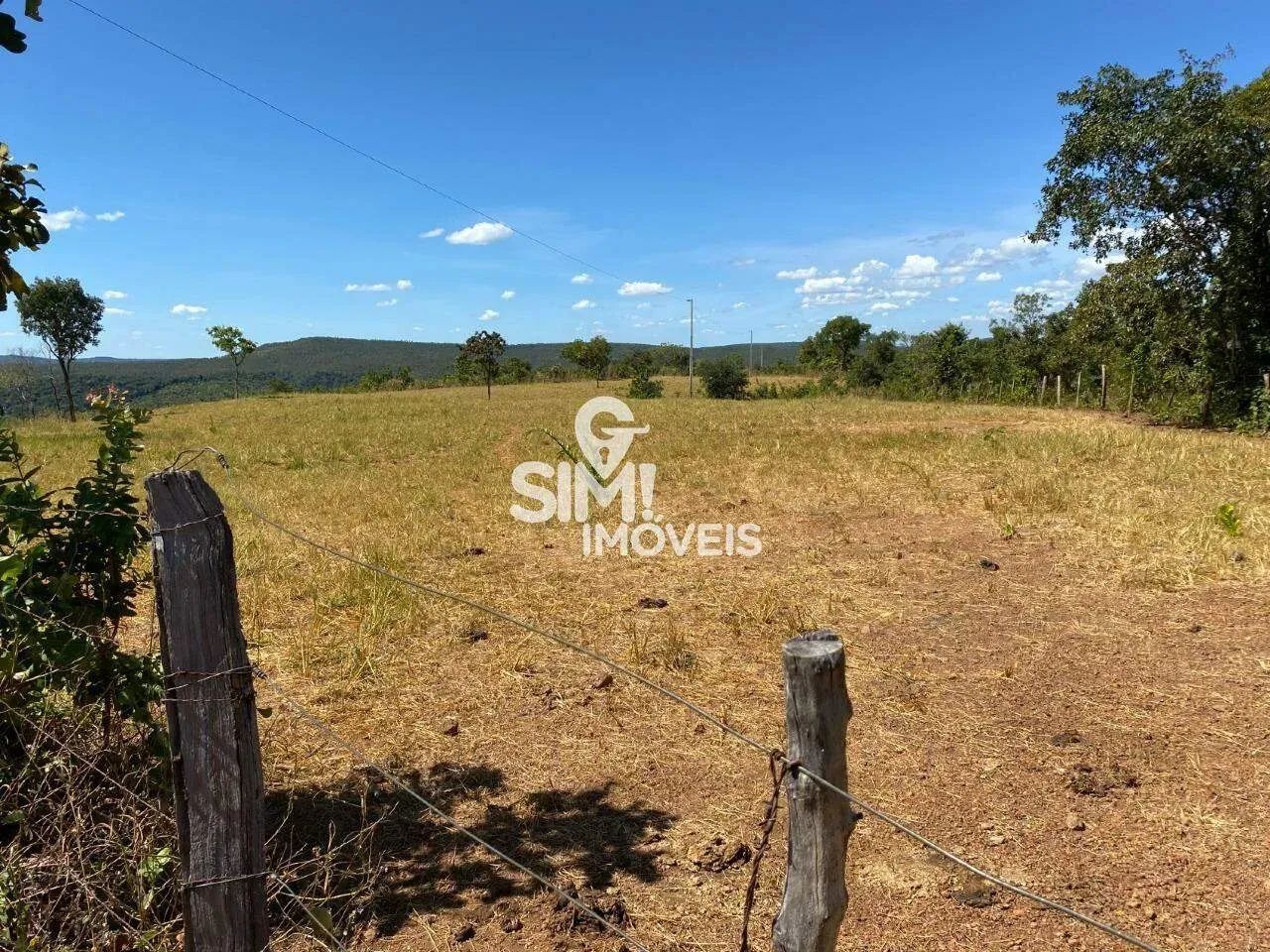 FAZENDA MONTE DO CARMO -TOCANTINS. - Foto 4
