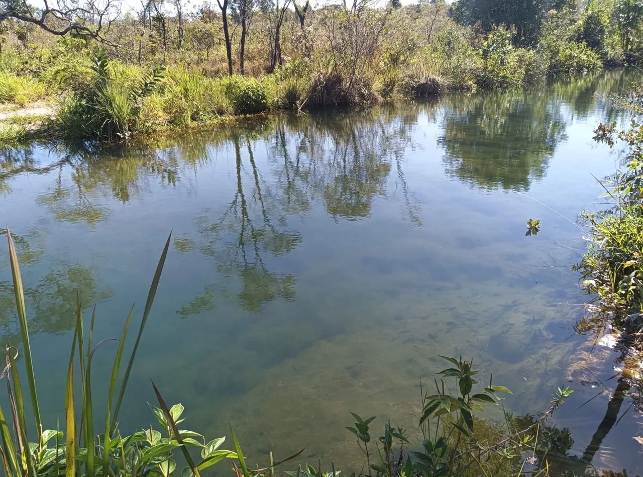 foto - Campo Grande - Nova Lima