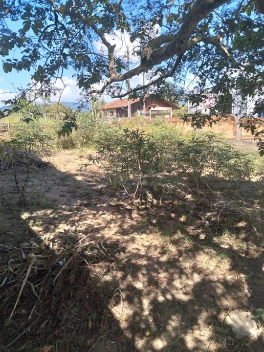 Vendo terreno Ótimo lugar  - Foto 5
