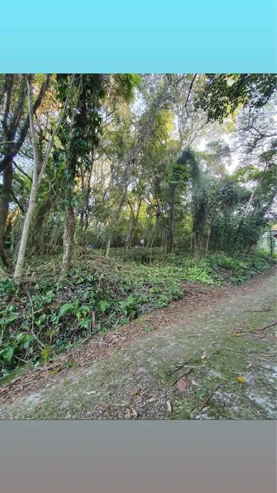 Terreno  em Local Tranquilo, 1200 m2 escritura pública - Foto 4