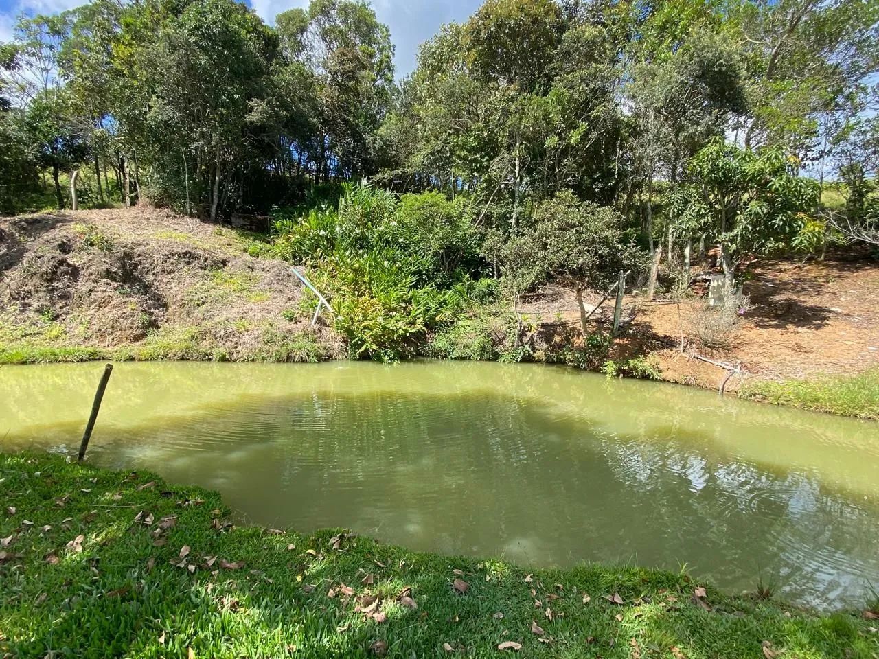 Chacara ramos  - Foto 2