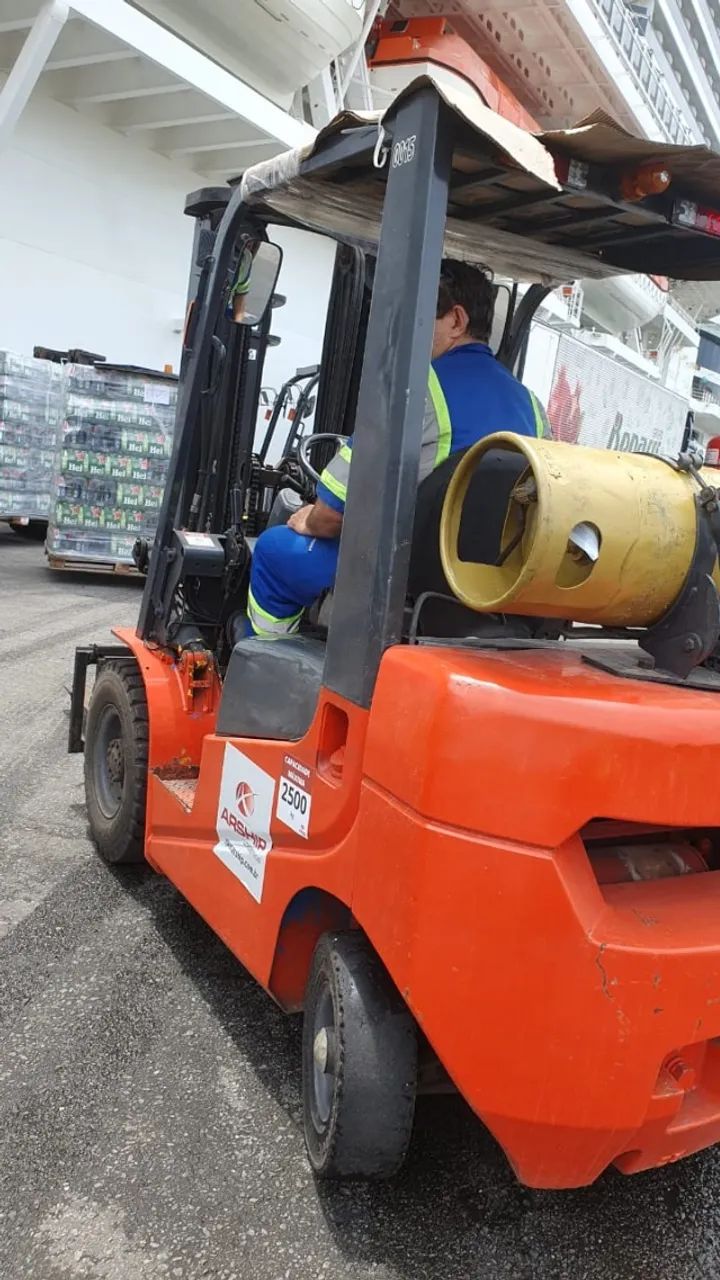 Empilhadeira TCM - 2,5 toneladas - GLP -   2006  - Foto 2