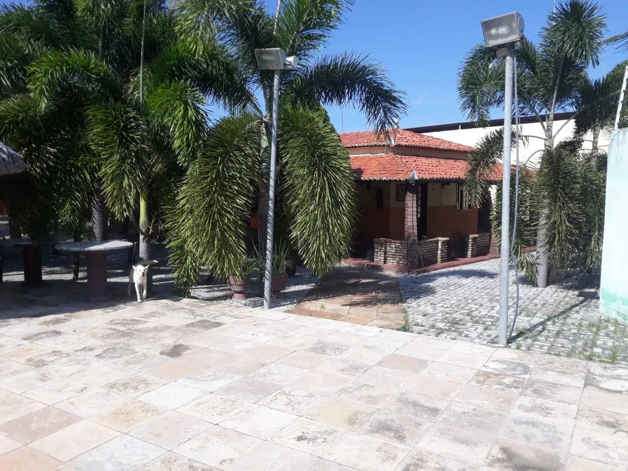 Sítio com casa e piscina em área verde