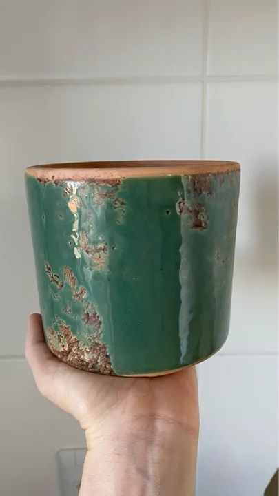 Vaso de planta verde e marrom