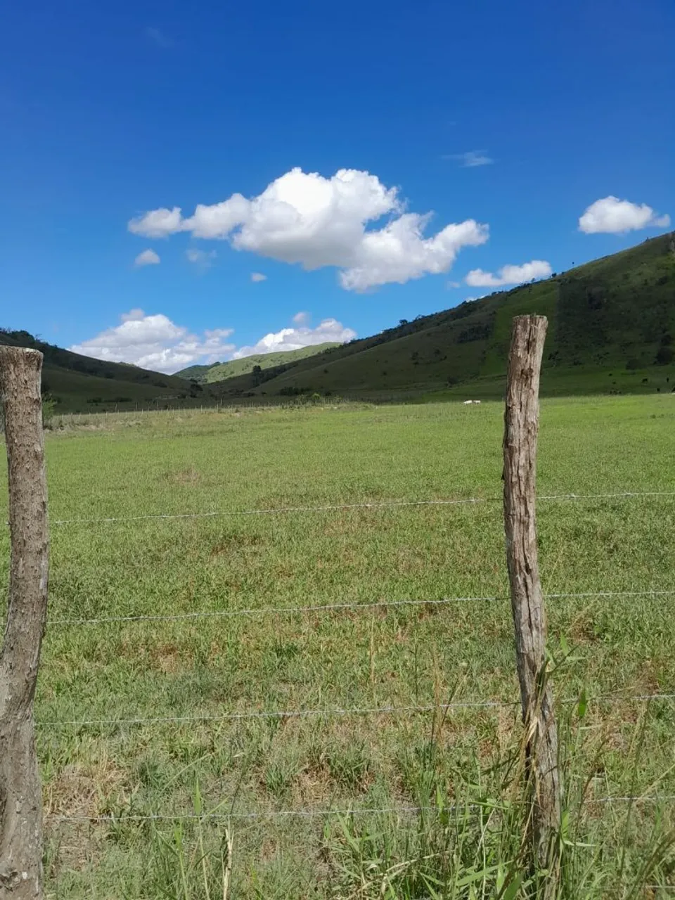 Terrinha em Atalaia 22 tarefas
