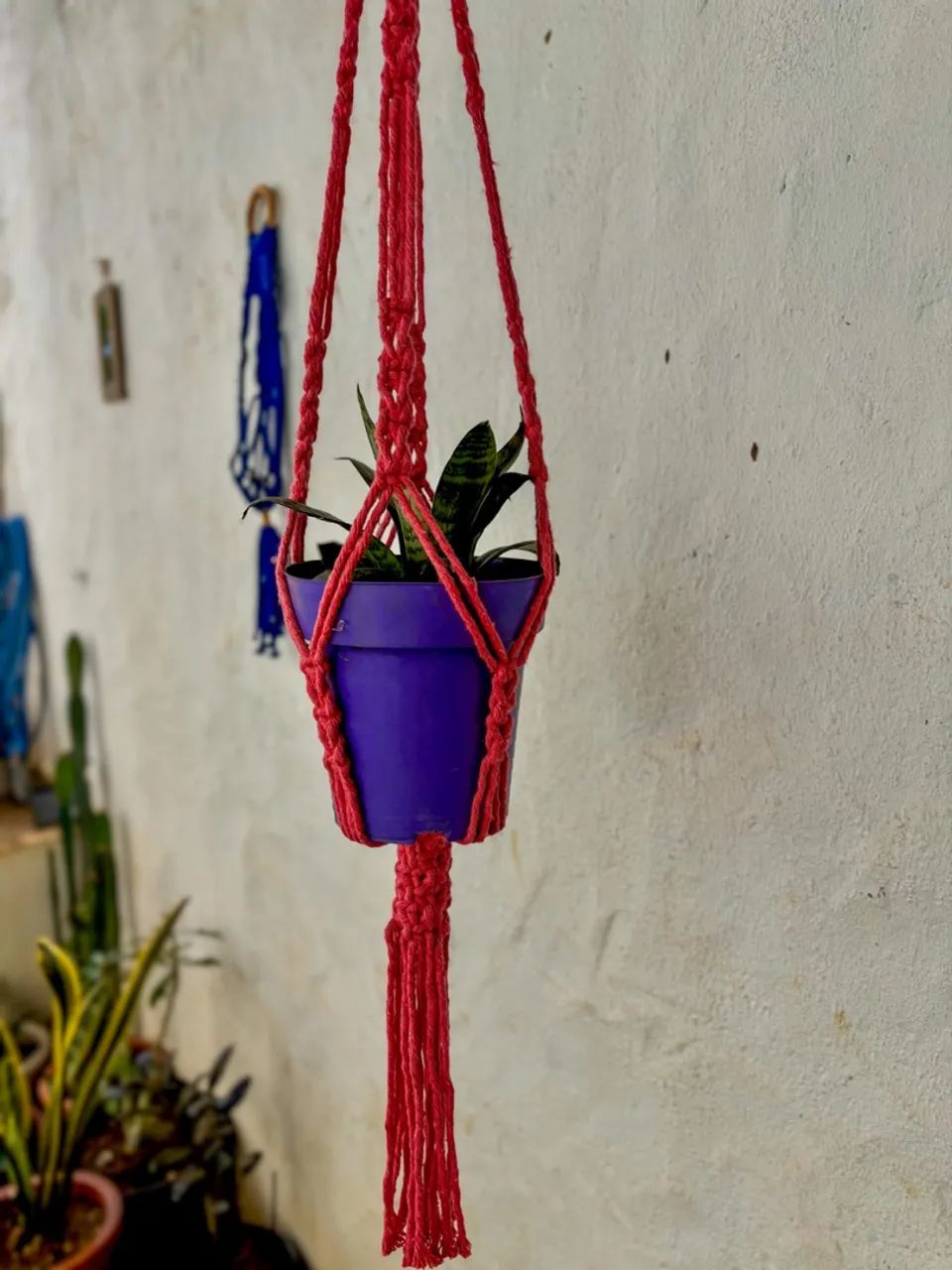 Suporte de Plantas em Macramê - Feito à Mão | Cor Pink - Foto 3