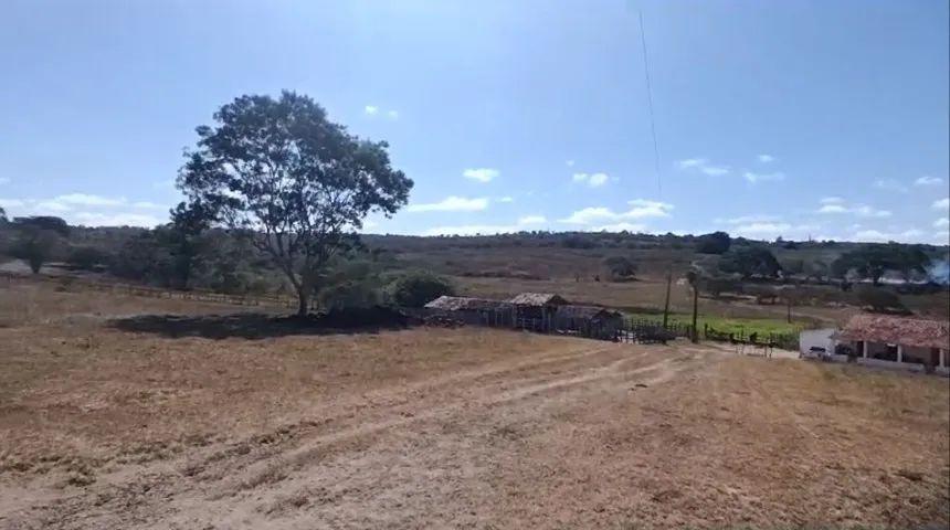 Fazenda em Garanhuns/PE à Venda (FA0134-PV) - Foto 3