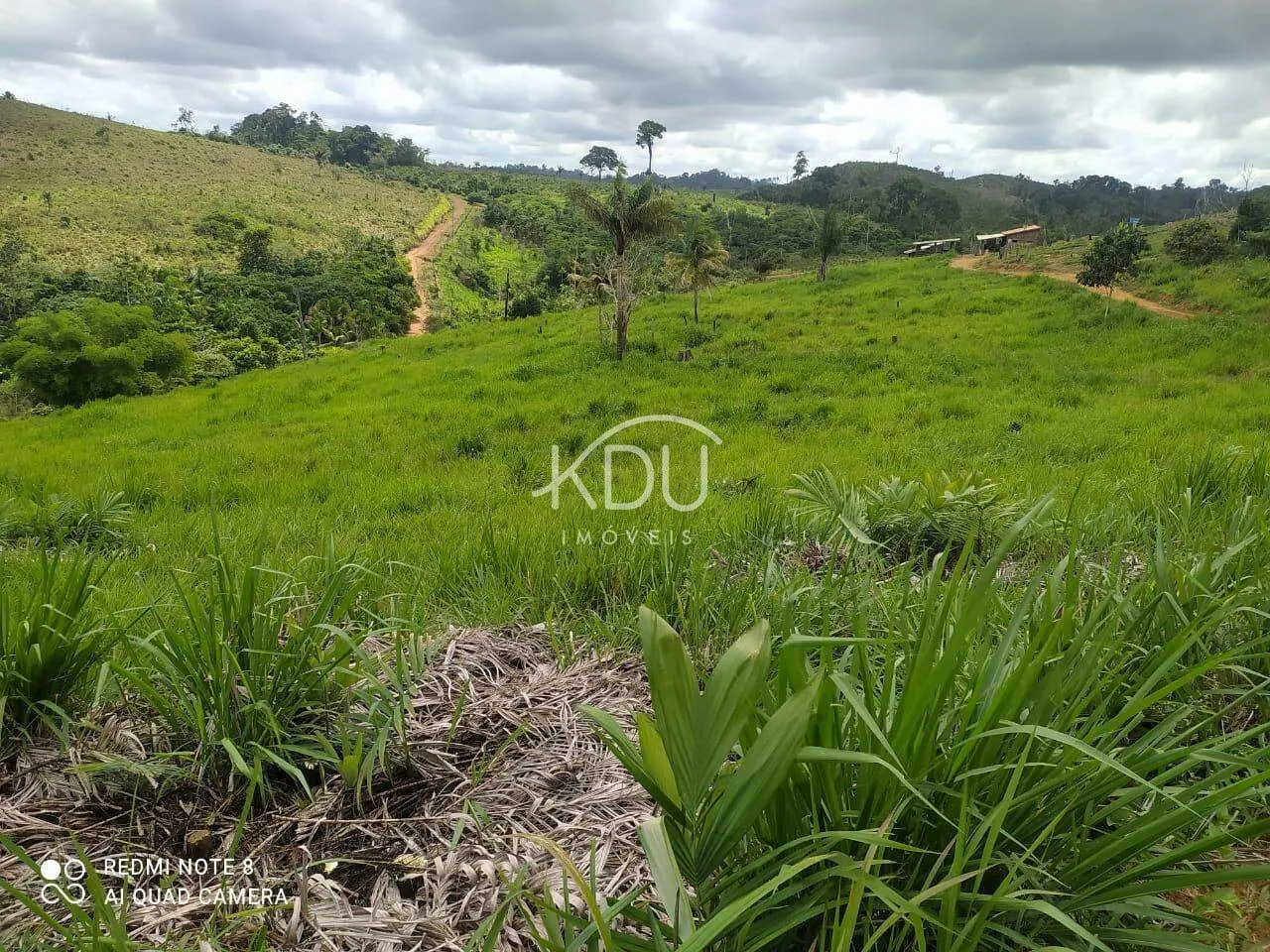 Fazenda à venda Santa Mônica Tucuruí 450.000,00