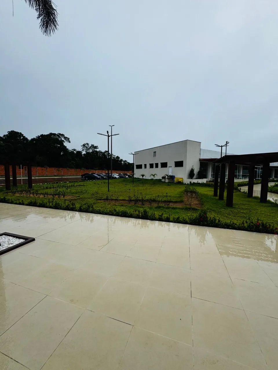 Foto - Manaus - Coroado