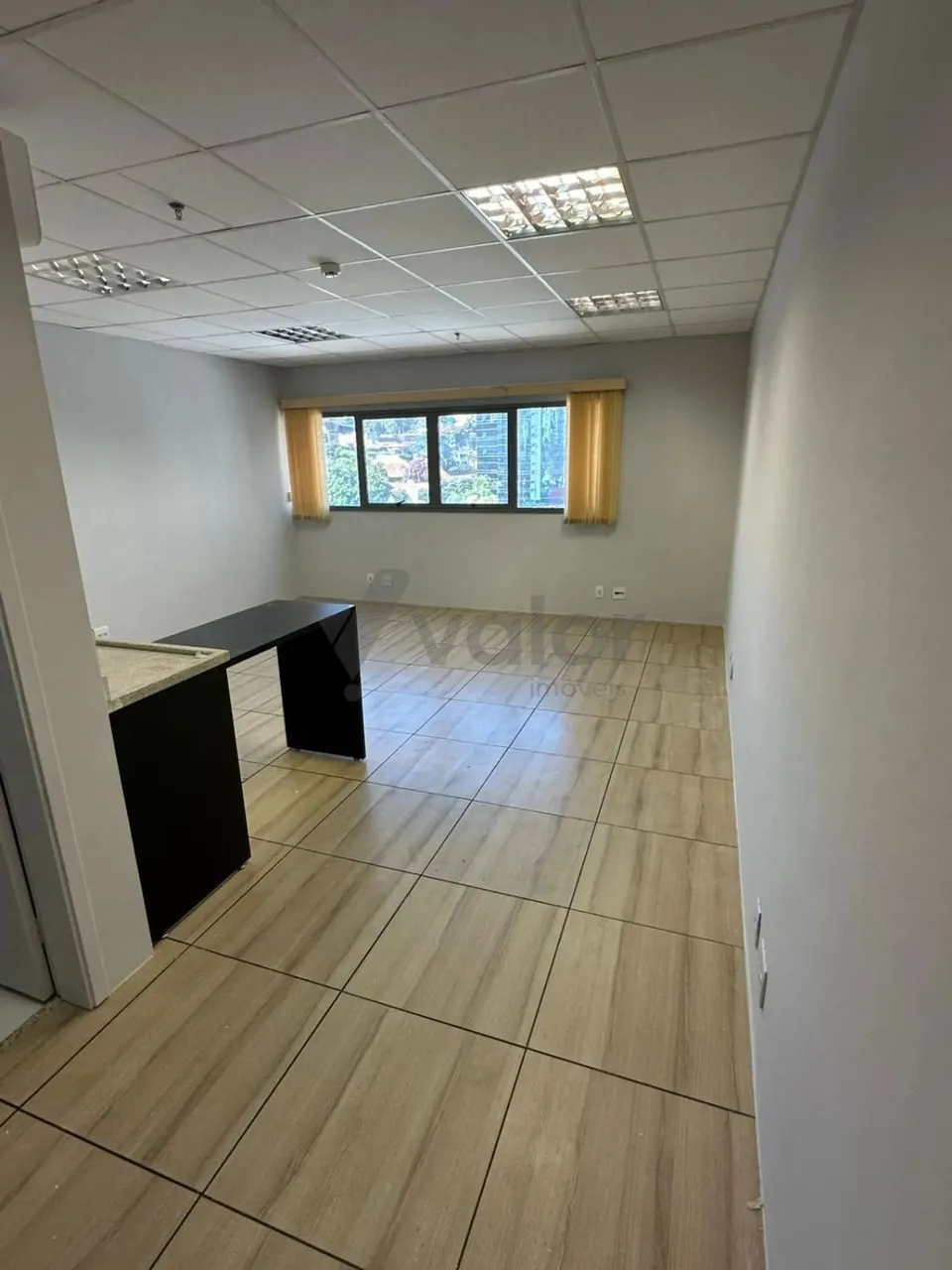 sala - Cambuí - Campinas