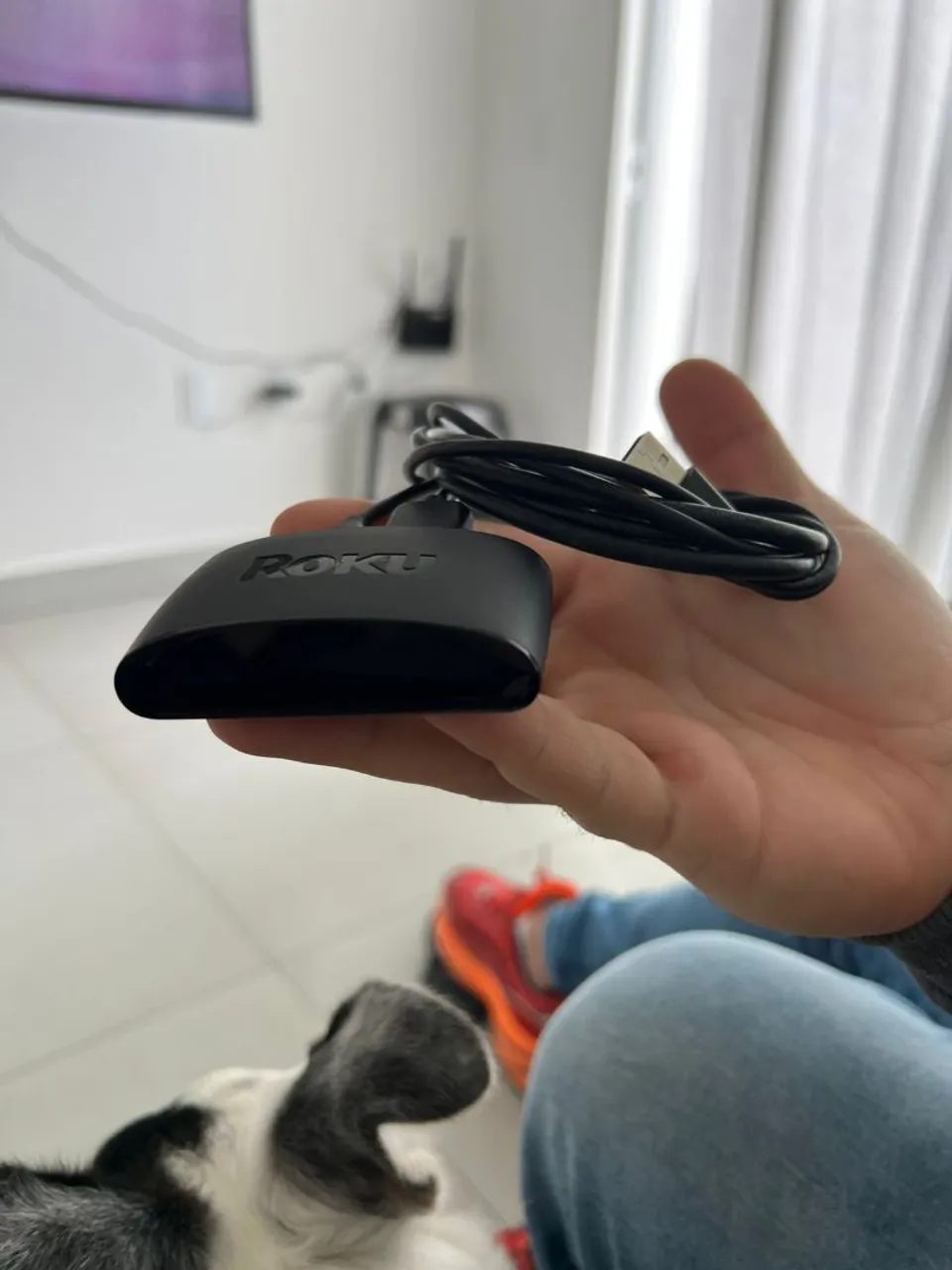 Roku Player