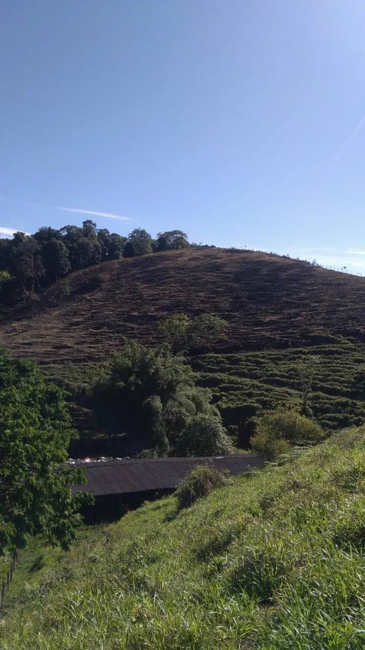 Lindo Sitio para criação e lazer.