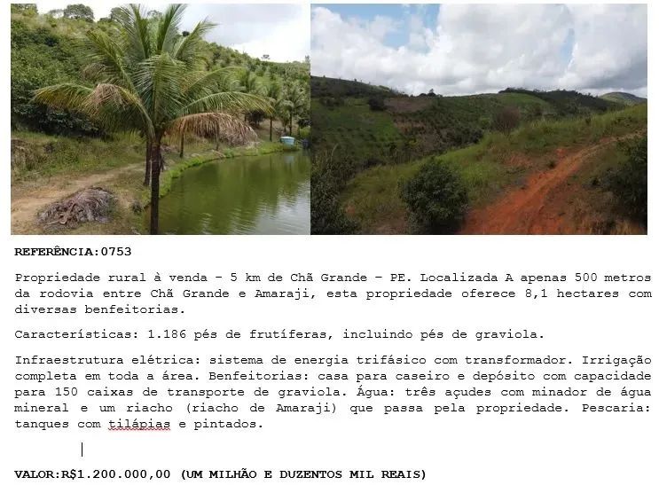 Propriedade rural à venda - 5 km de Chã Grande  PE.