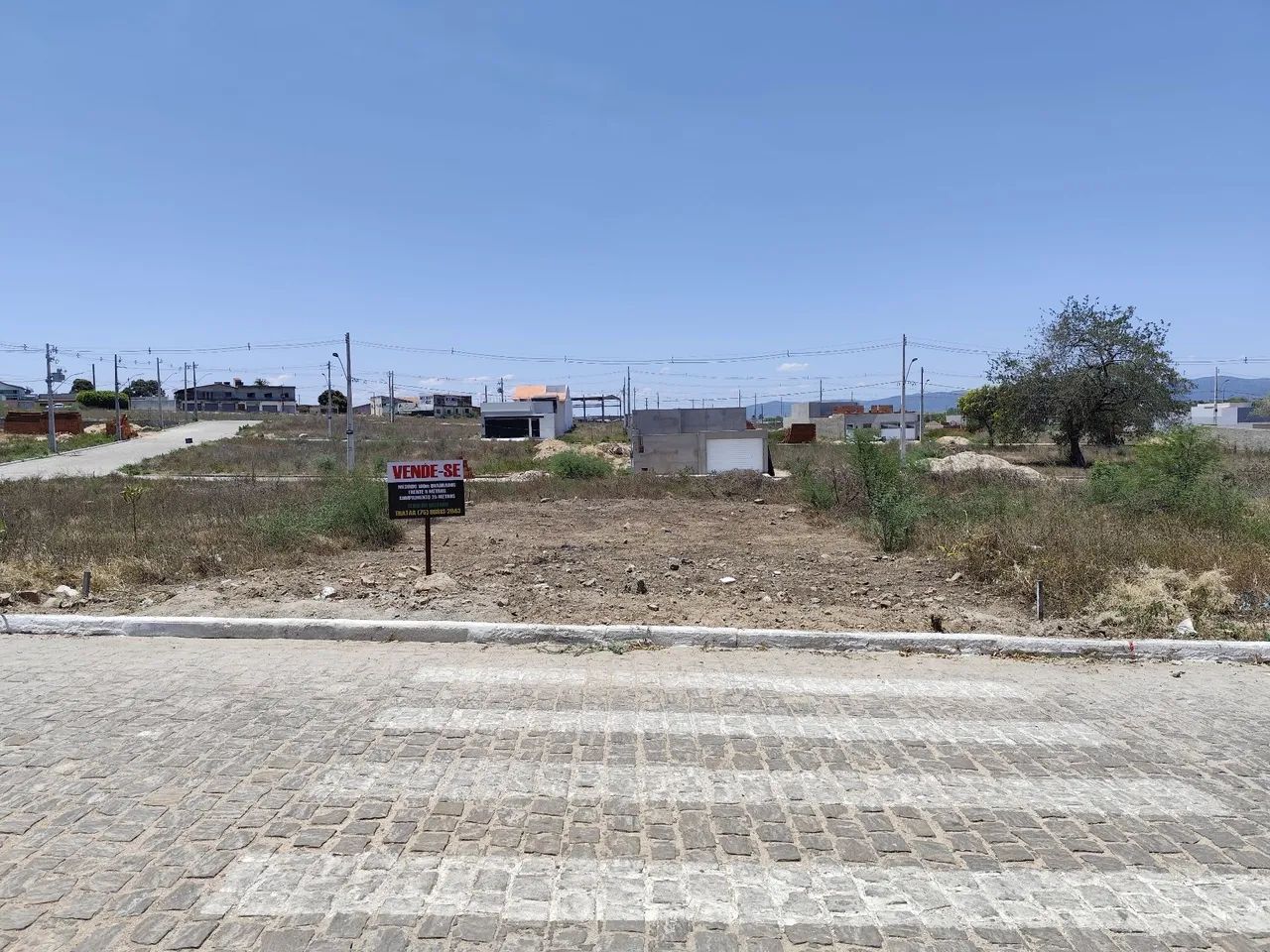 Foto - Delmiro Gouveia - 