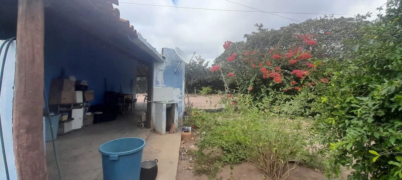 SÍTIO À VENDA - Foto 5