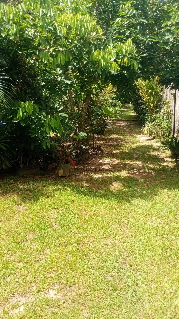 Vendo Sítio em Icoraci  - Foto 5