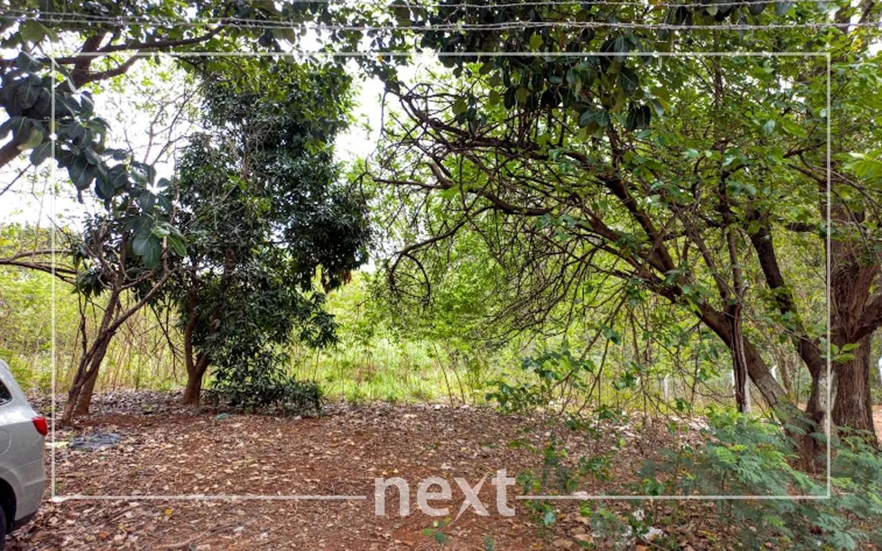 terreno - Parque São Quirino - Campinas - Foto 3