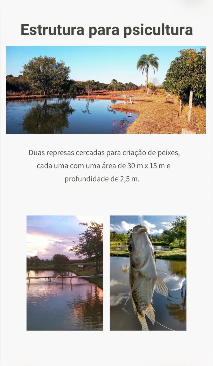 Excelente fazendinha próximo Uberlândia  - Foto 2