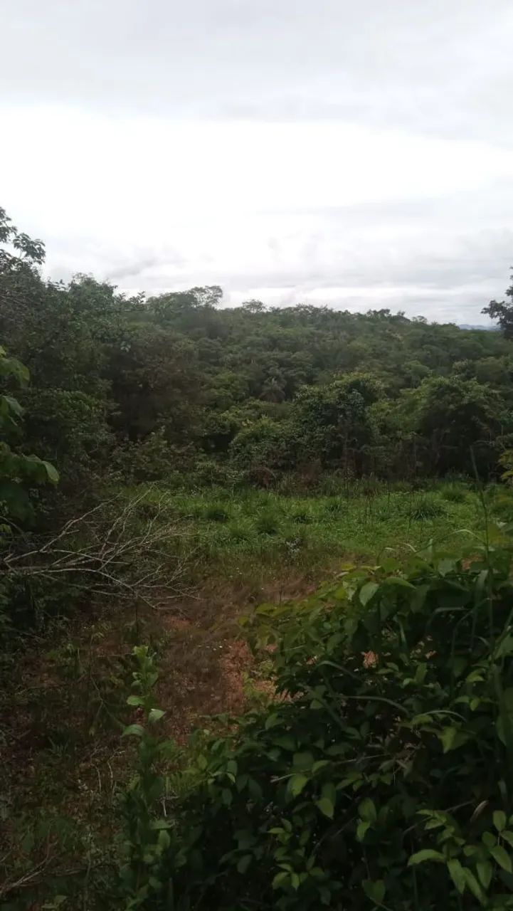 Terreno / Chacara - Foto 3