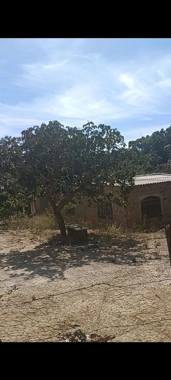 Vendo ou troco sitio - Foto 4