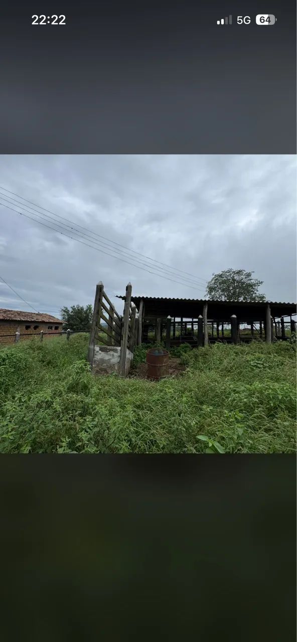 Vendo fazenda a 7km de Itaberaba  - Foto 6