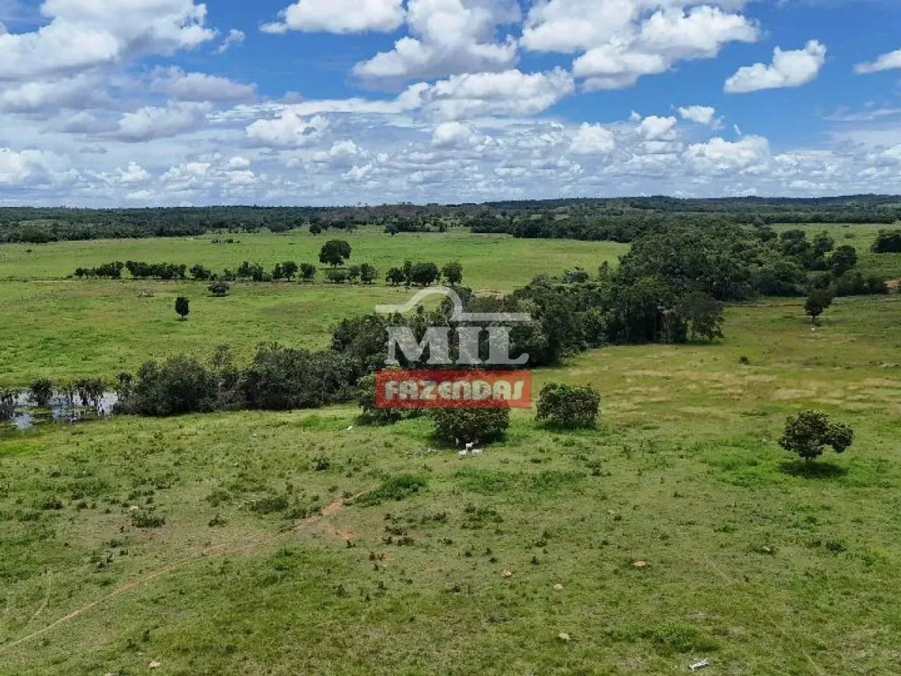 Fazenda 350 alqueires (1.694 hectares) Araguaçu - To - Foto 3