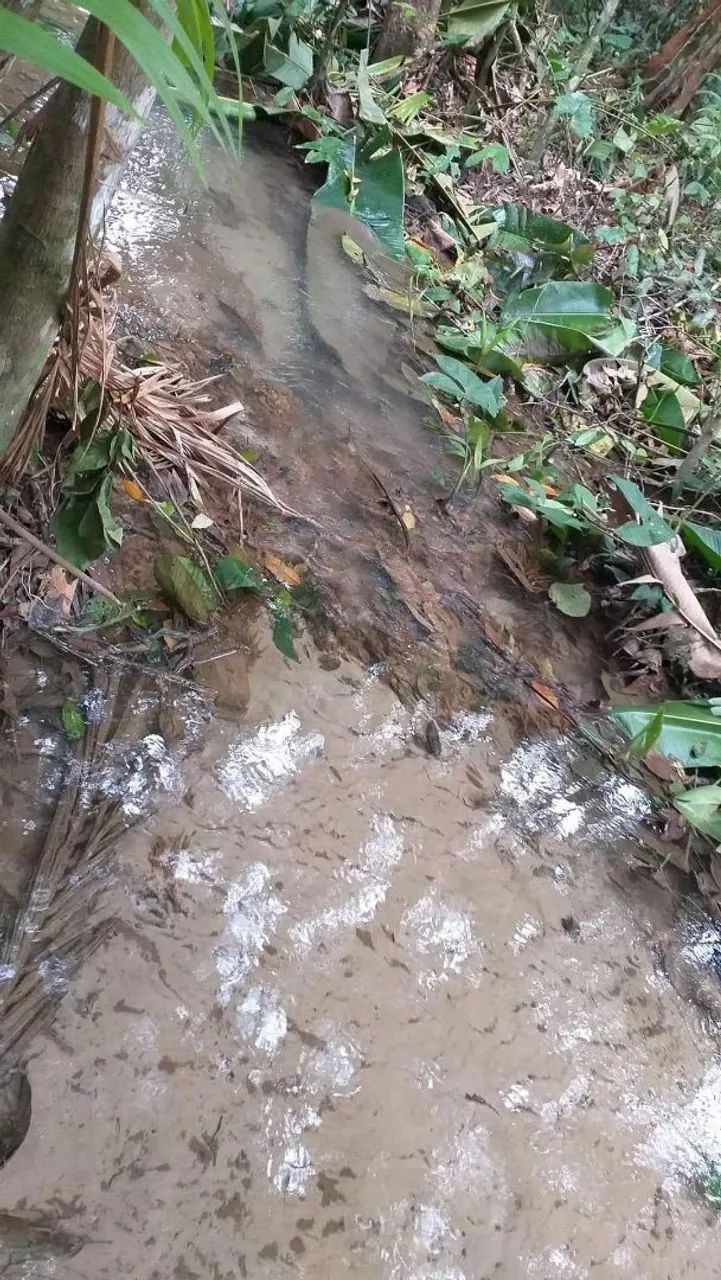 Terreno com olho d'água corrente