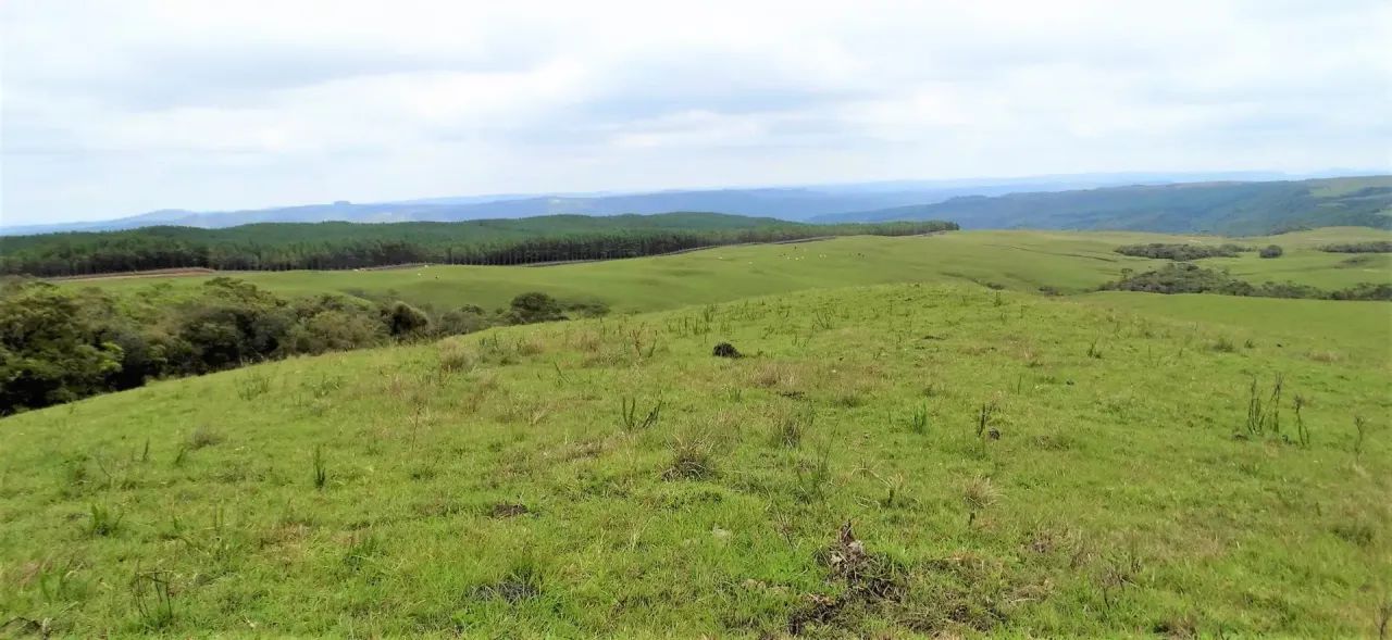 Portal da Boa Vista- Serra Catarinense