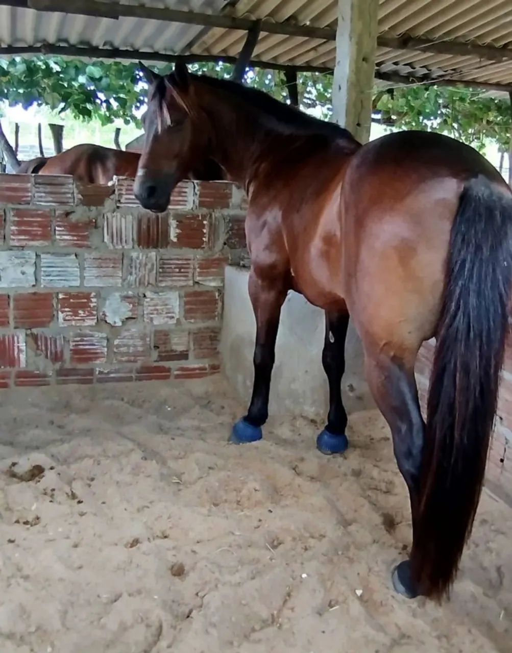 Vendo e troco 